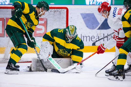 Björklövens målvakt Melker Thelin