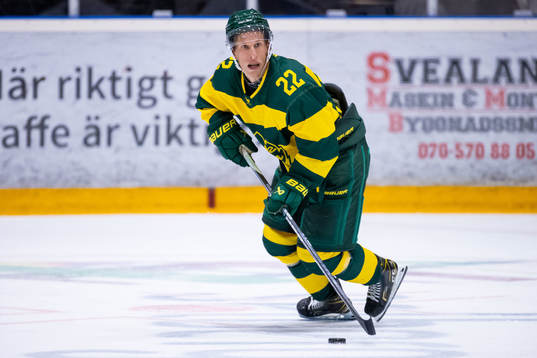 Björklövens Fredrik Weigel