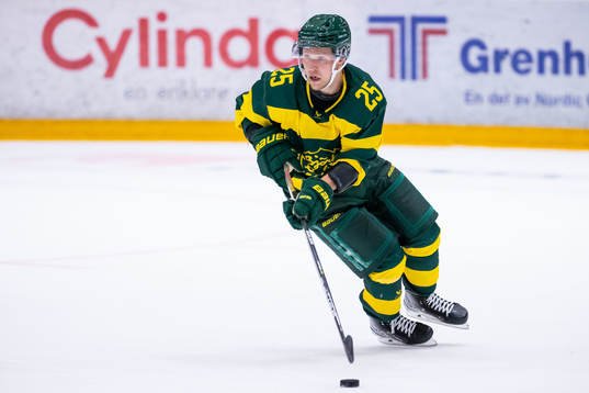 Björklövens Christopher Bengtsson