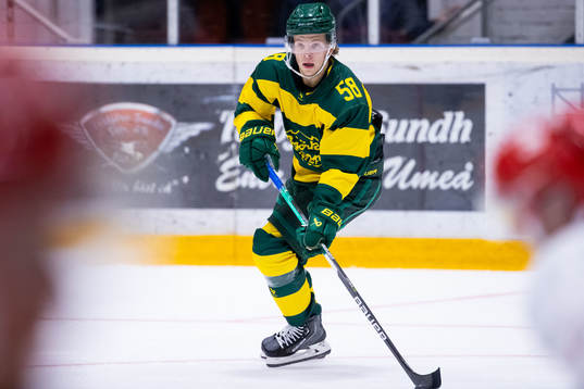 Björklövens Kim Johansson