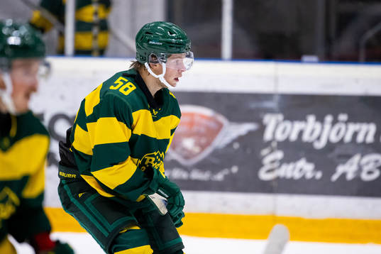 Björklövens Kim Johansson