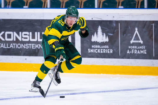 Björklövens Christopher Bengtsson