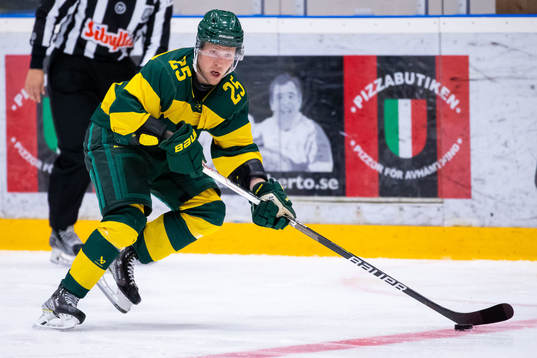 Björklövens Christopher Bengtsson