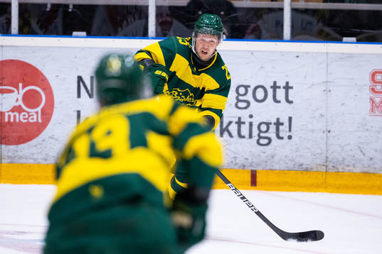 Björklövens Christopher Bengtsson