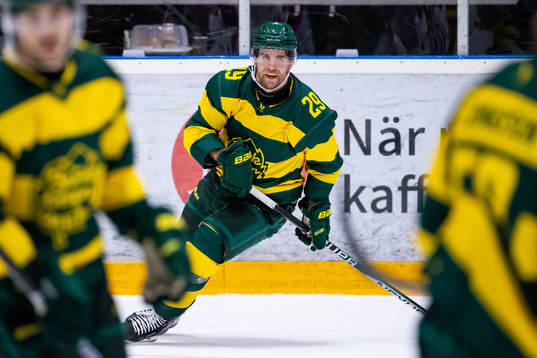 Björklövens Alexander Wiklund