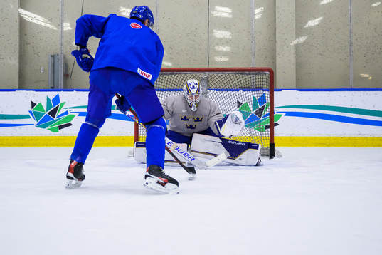 Helge Grans and goaltender Jesper Wallstedt of Sweden at a