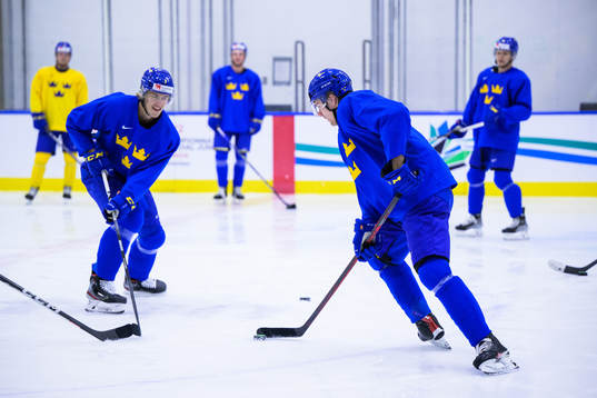 Simon Edvinsson and Helge Grans of Sweden at a practice