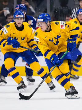 Theodor Niederbach of Sweden