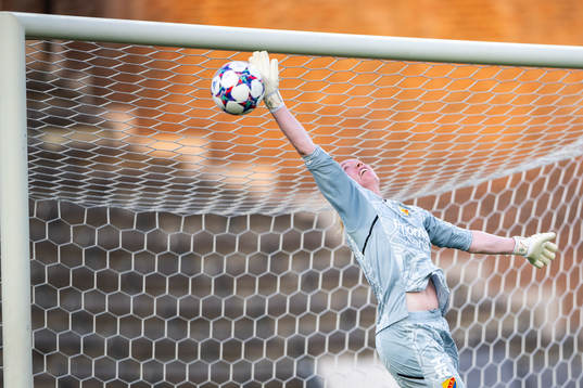 Djurgårdens målvakt Hedvig Lindahl släpper in 02