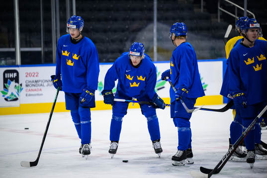 William Wallinder and Simon Edvinsson of Sweden at a