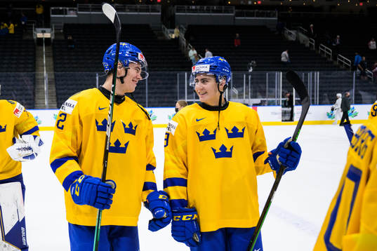 William Wallinder and Daniel Ljungman of Sweden celebrate