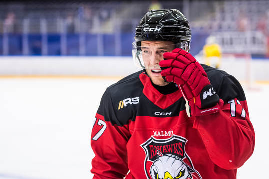 Malmö Redhawks Pathrik Westerholm har ont