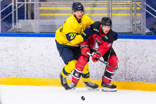 Malmö Redhawks William Von Barnekow