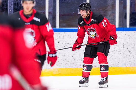 Malmö Redhawks Ponthus Westerholm deppar