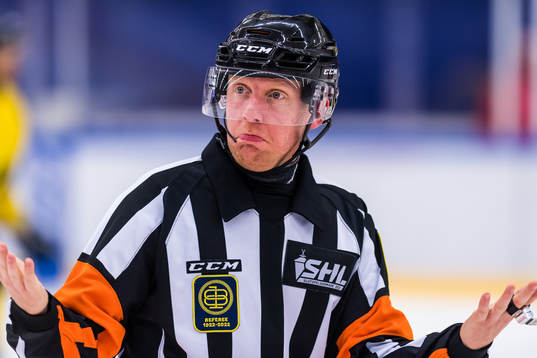 Domare Mikael Holm