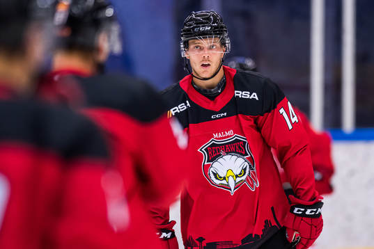 Malmö Redhawks Carl-Johan Lerby