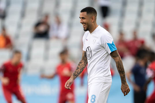 Sergio Pena of Malmö FF