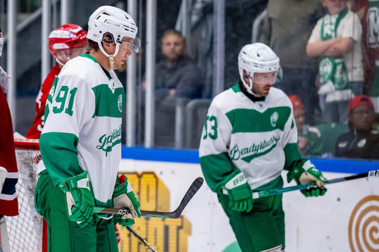Rögles Adam Tambellini och Riley Sheen deppar