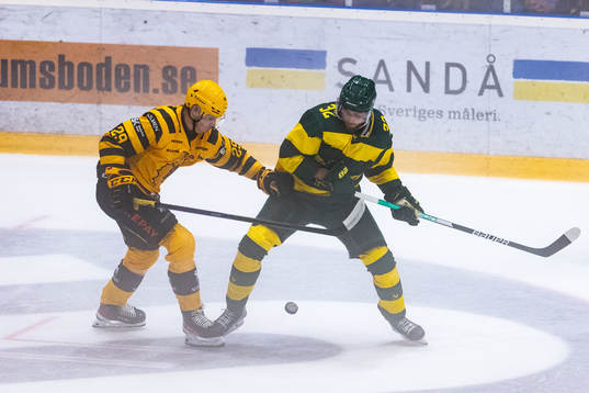 Skellefteås Albin Sundsvik och Björklövens Jacob Olofsson