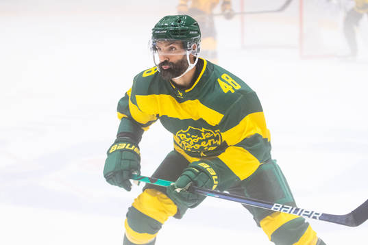 Björklövens Daniel Rahimi