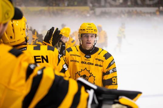 Skellefteås Rickard Hugg