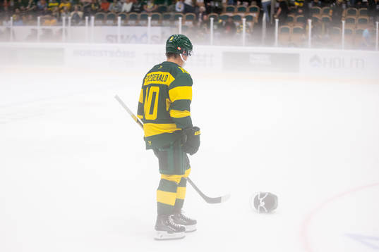 Björklövens Gerry Fitzgerald deppar