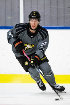 Brynäs David Sklenicka