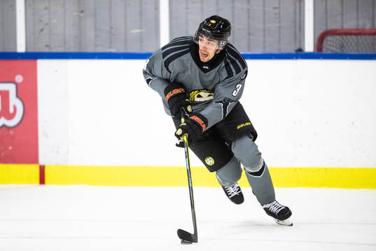 Brynäs Niklas Friman