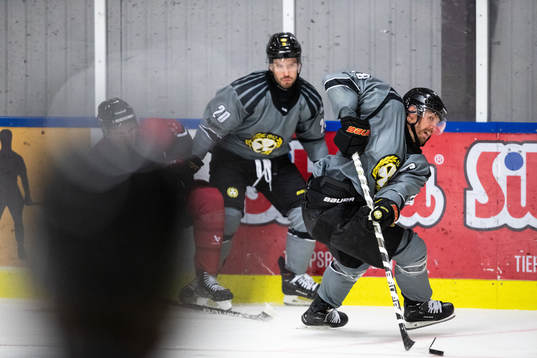 Brynäs Anton Rödin