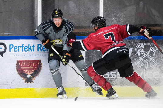 Brynäs Nick Olesen och Örebros Marcus Hardegård