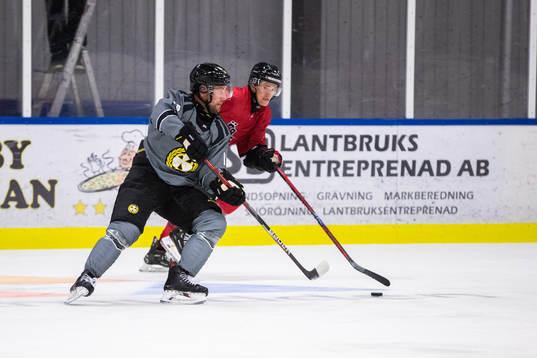 Brynäs Johan Larsson