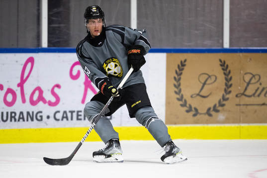 Brynäs Samuel Johannesson