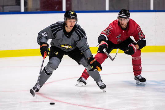 Brynäs Dmytro Timashov och Örebros Philip Holm