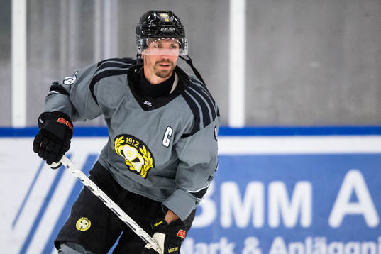 Brynäs Anton Rödin