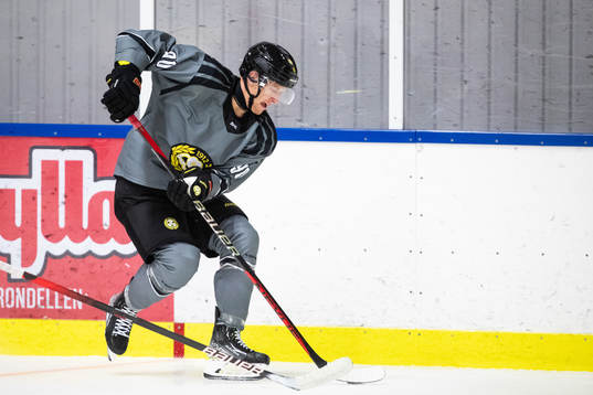 Brynäs David Sklenicka