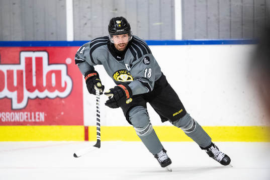 Brynäs Anton Rödin