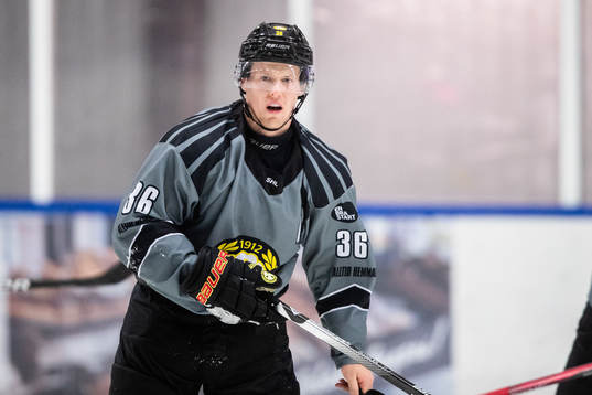 Brynäs Linus Ölund
