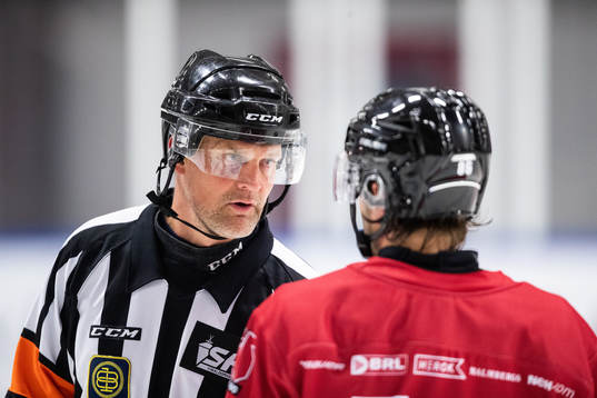Domare Mikael Nord