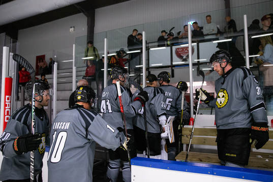Brynäs spelare deppar