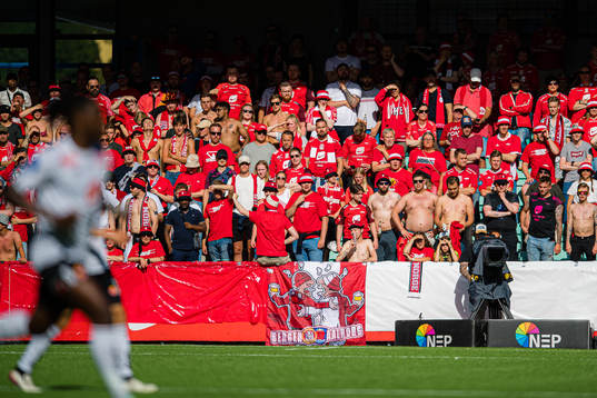 Spectators in the stands