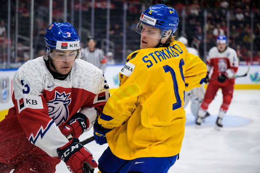 David Spacek of Czech Republic and Åke Stakkestadof Sweden