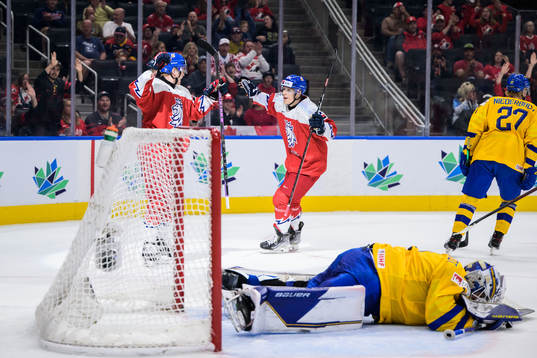 Michal Gut and Jiri Kulich celebrate