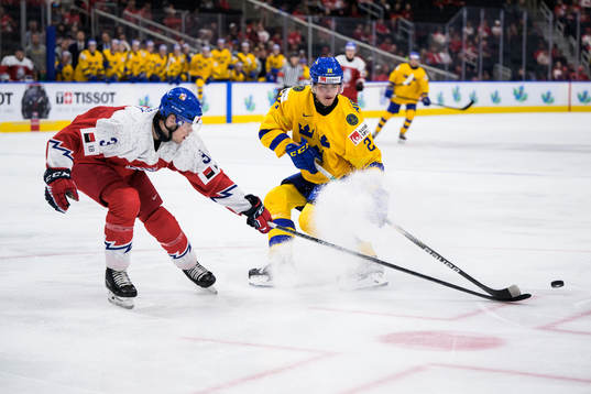 David Spacek of Czech Republic and William Wallinder of
