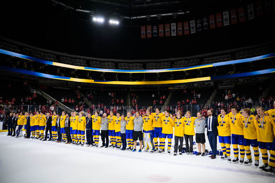 The players of Sweden