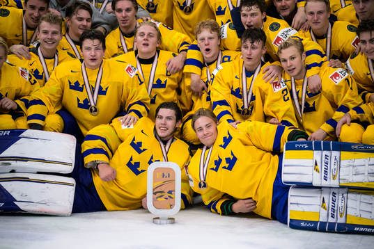 The players of Sweden