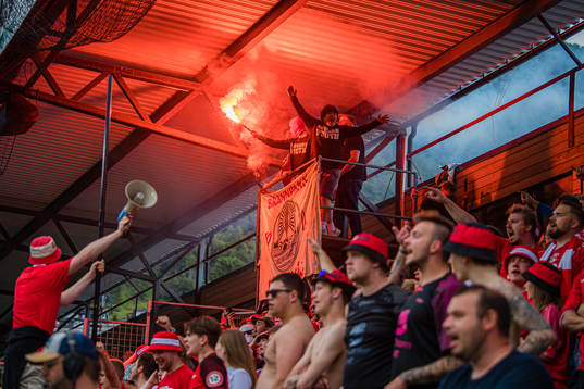 Spectators in the stands