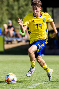 Sveriges Mohammed Ali