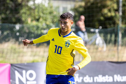 Sveriges Fadi Halawi