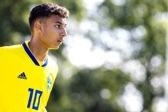 Sveriges Fadi Halawi