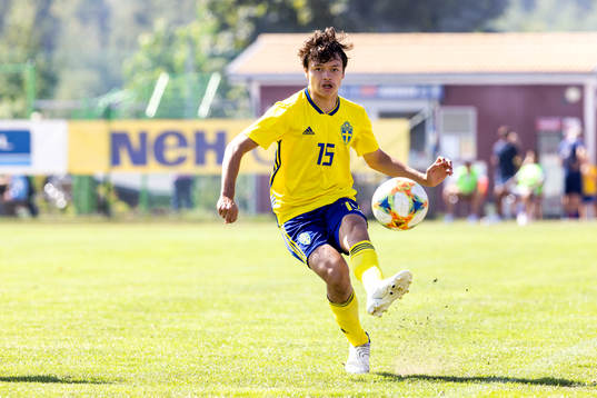 Sveriges Dag Hallgren